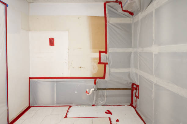 Hasbrouck Heights, NJ Mold Removal Company